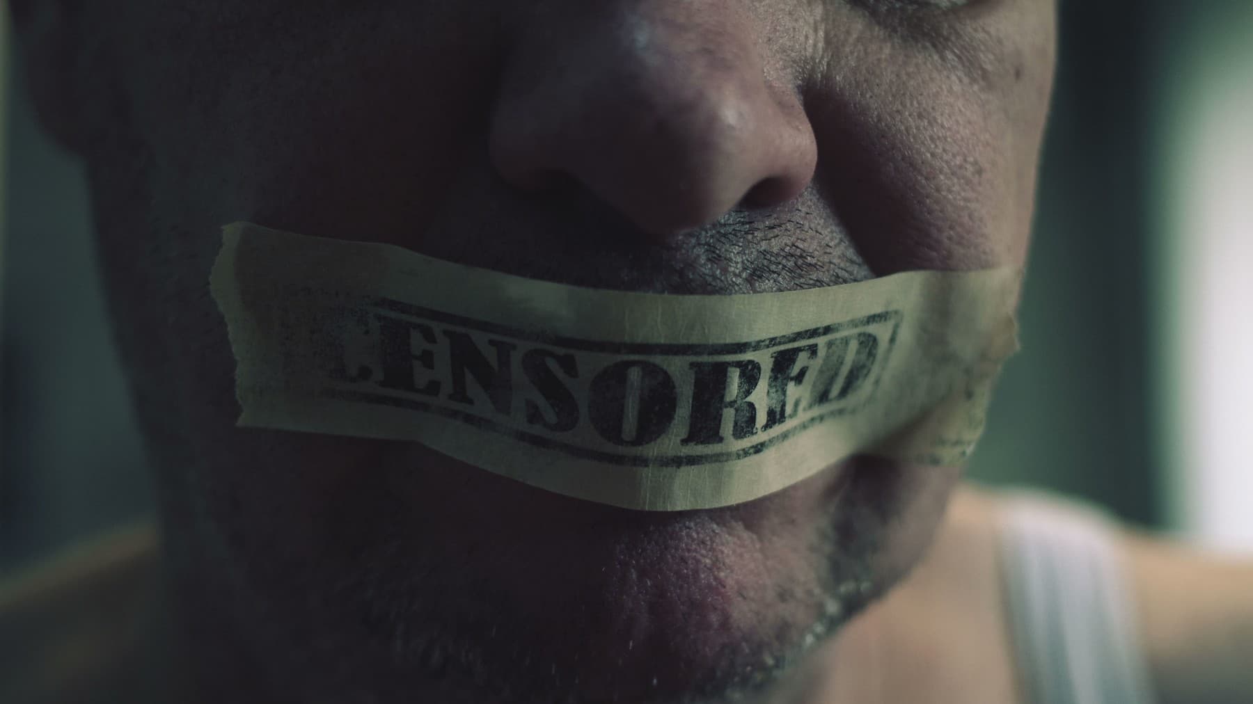 Dezinformace nejsou příčinou názorů. Internet nemůže řídit hlavu člověku, který se rozhoduje sám