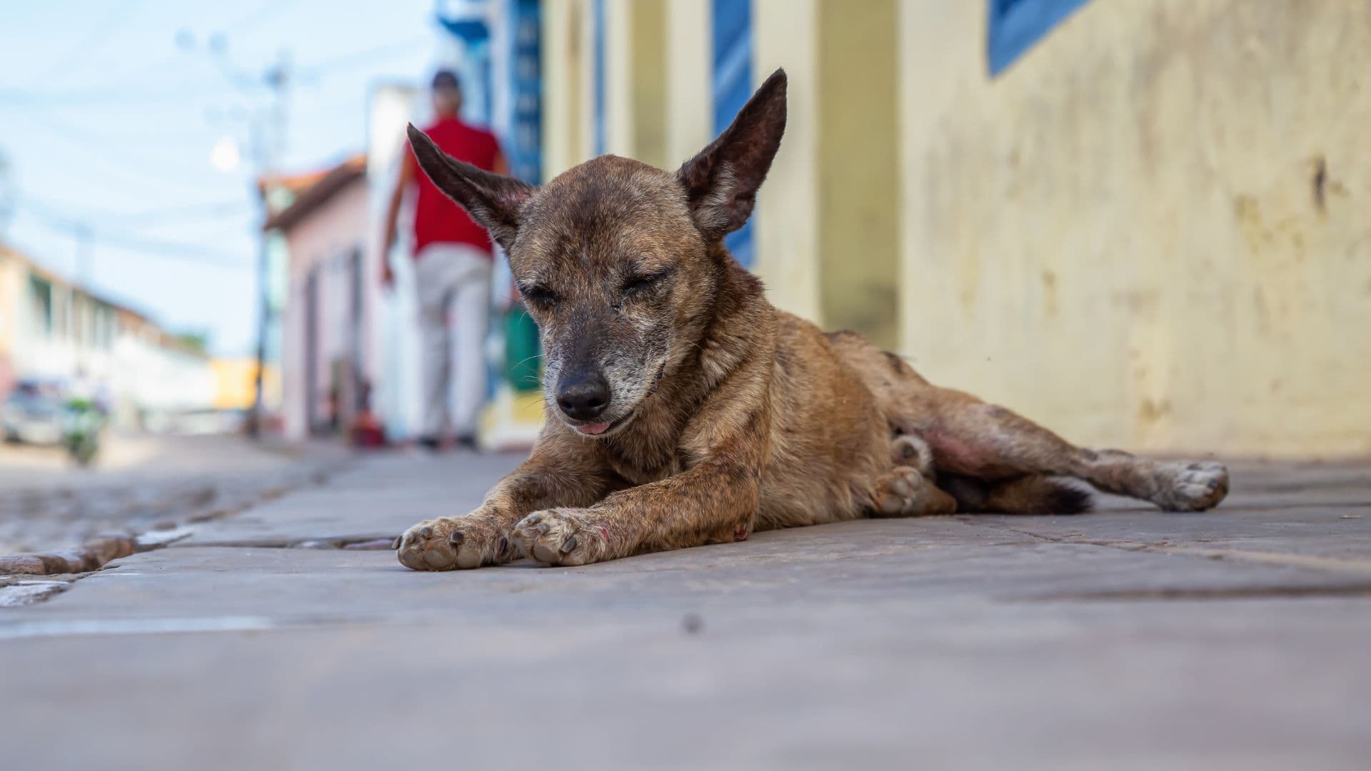 Kuba kolabuje. Zemi ničí blackouty, těží z toho Rusko
