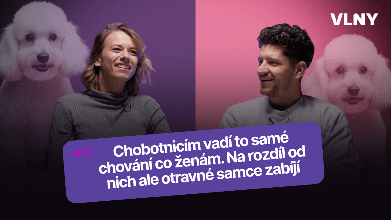 Chobotnicím vadí to samé chování co ženám. Na rozdíl od nich ale otravné samce zabíjí