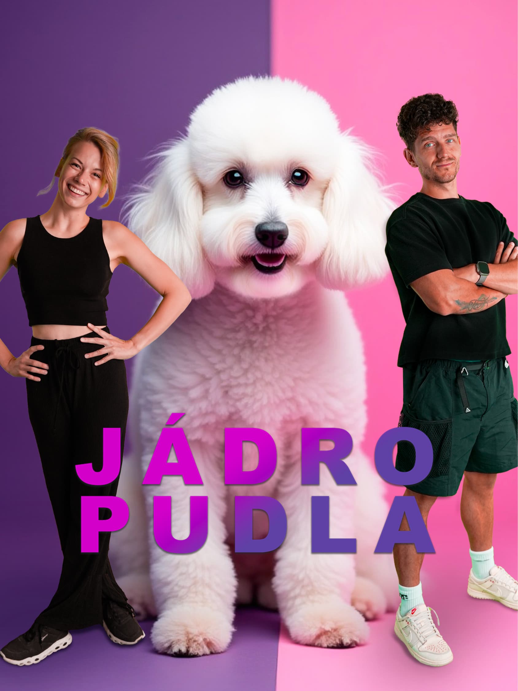 Jádro pudla