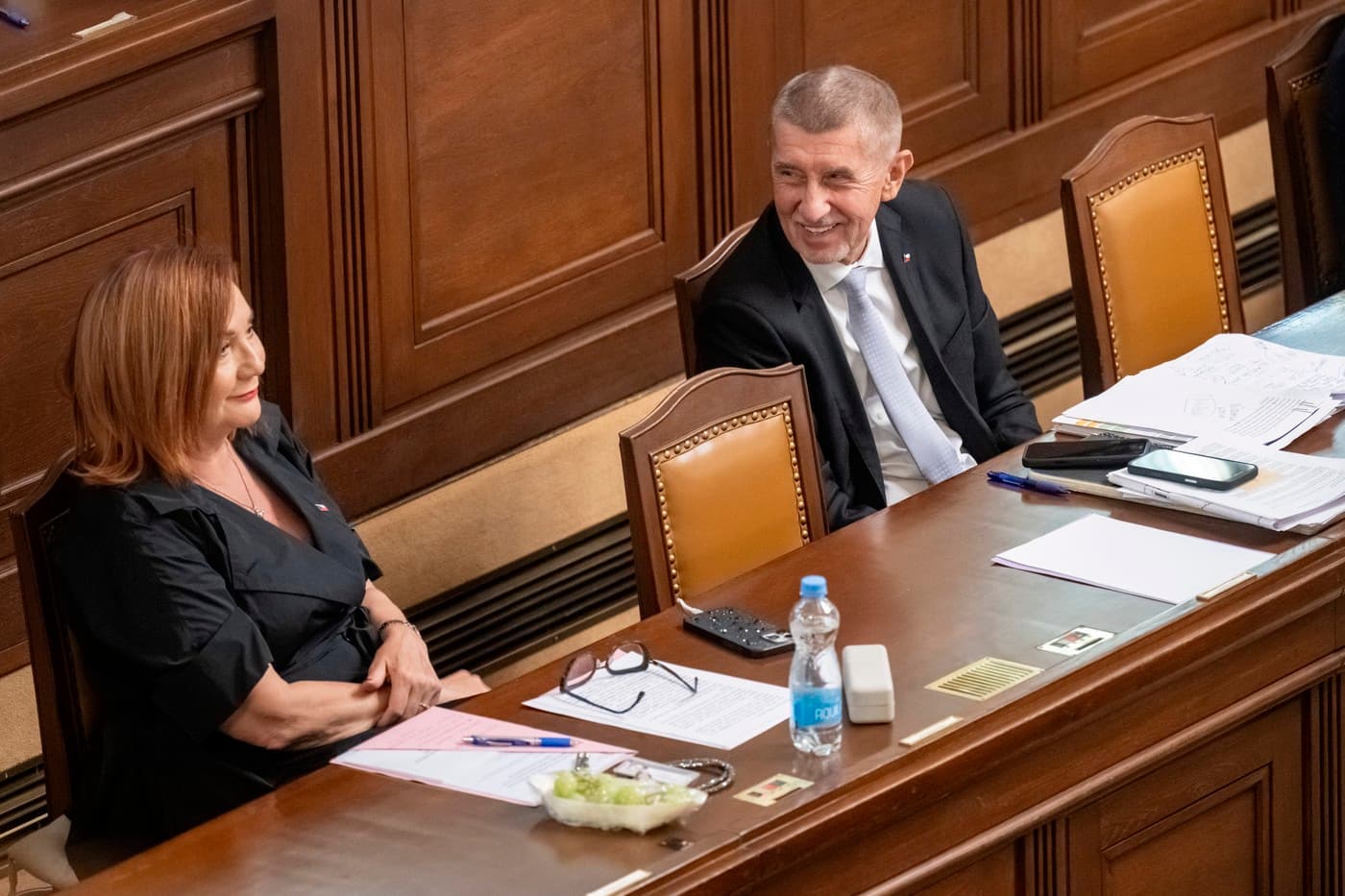 Naši na ně klekli. Stát ale Andreji Babišovi nepatří